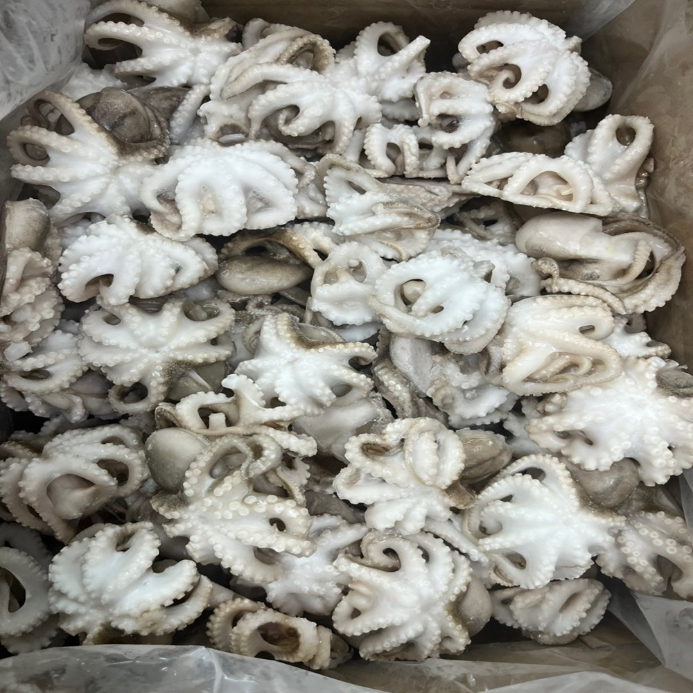 Frozen whole cleaned baby octopus IQF